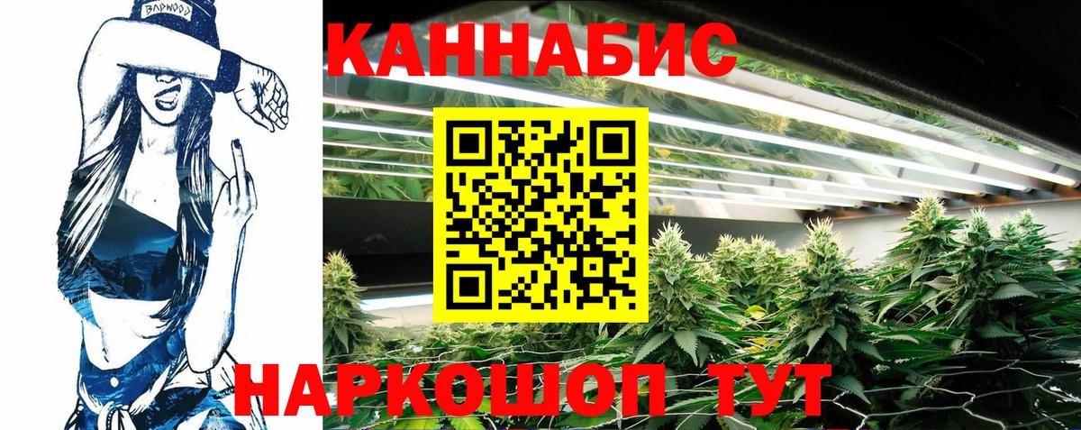 Бошки марихуана ГИДРОПОН  Конопля MAZAR  Каннабис White Widow  Сафоново  Вход с VPN 